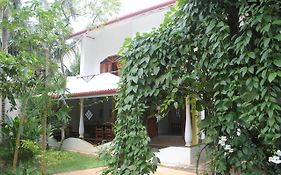 Dionis Villa